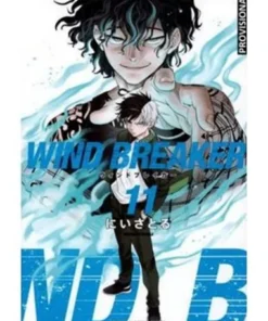 WIND BREAKER 11