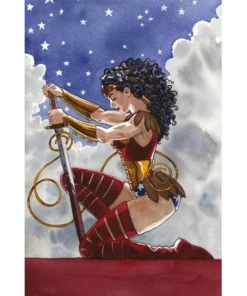 Wonder Woman: La verdadera amazona (DC Pocket) ECC EDICIONES9,95 €9…