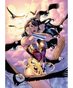 Wonder Woman: ¿Quién es Wonder Woman? (DC Pocket) ECC EDICIONES9,95…